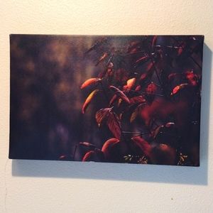 Canvas print of leaves 12"x18"